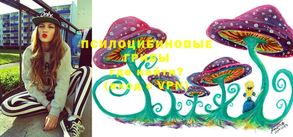тгк Белокуриха