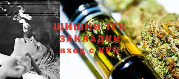тгк Белокуриха